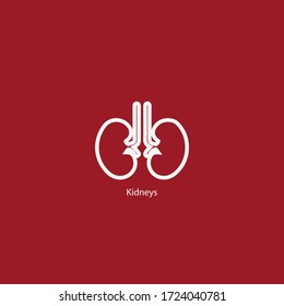 Kidneys flat vector icon design