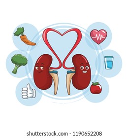 Kidneys funny cartoon