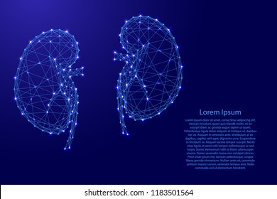 Kidneys of the human body from futuristic polygonal blue lines and glowing stars for banner, poster, greeting card. Vector illustration.