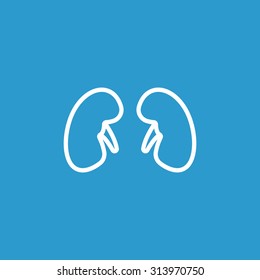 Kidneys icon