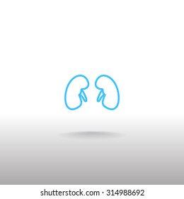 Kidneys icon