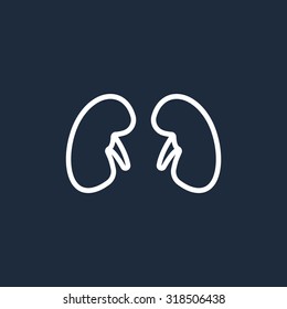 Kidneys icon