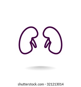 Kidneys icon