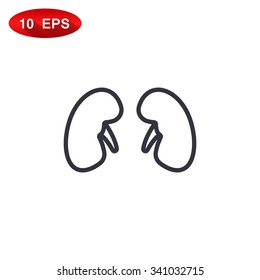 Kidneys icon