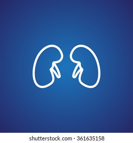 Kidneys icon