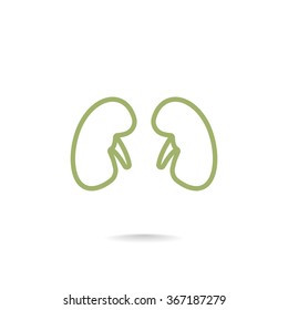 Kidneys icon