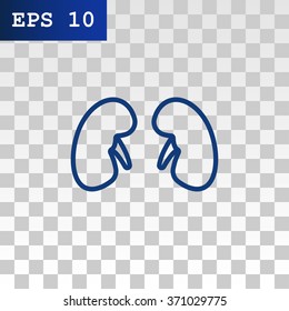 Kidneys icon