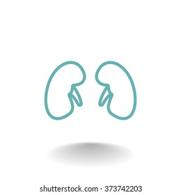Kidneys icon