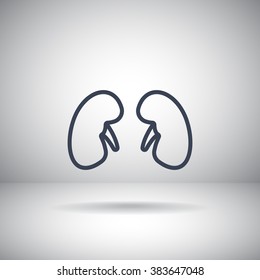 Kidneys icon