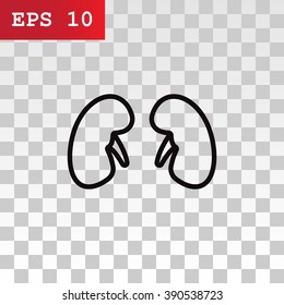 Kidneys icon