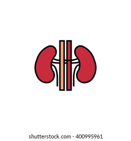 Kidneys icon