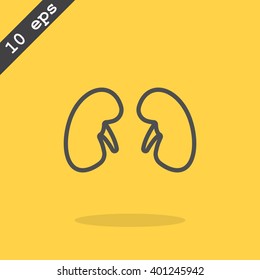 Kidneys icon