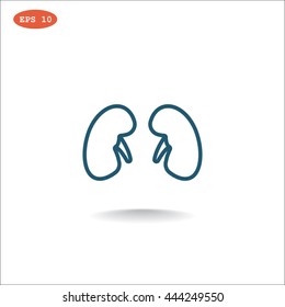 Kidneys icon