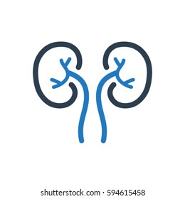 Kidneys Icon