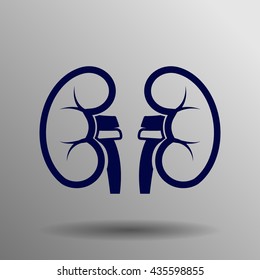 Kidneys icon blue on a gray background
