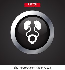 kidneys icon design