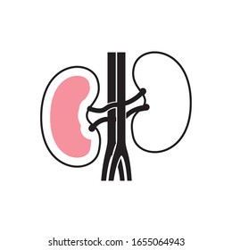 kidneys icon design, Human body person people health anatomy biology and science theme Vector illustration