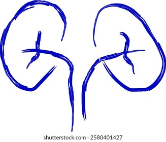 kidneys icon in Doodle style