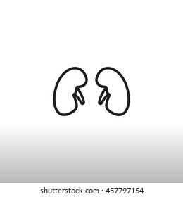  Kidneys icon flat.