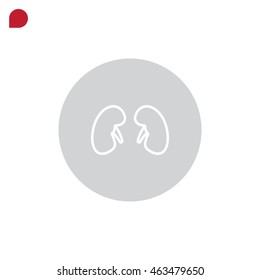  Kidneys icon flat.