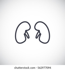  Kidneys icon flat.