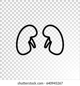  Kidneys icon flat.