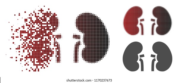 Kidneys icon in fractured, pixelated halftone and undamaged entire variants. Pixels are arranged into vector dissolving kidneys icon.