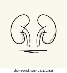 Kidneys icon. Hand drawn vector illustration