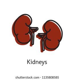Kidneys icon. Human Internal Organ. Simple vector illustration.