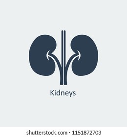 Kidneys Icon. Human organs. Vector design
