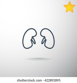 Kidneys icon illustration