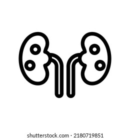 kidneys icon illustration vector graphic