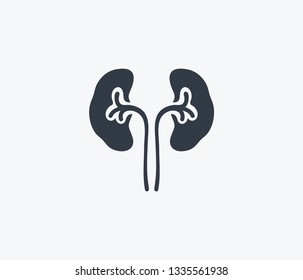 Kidneys icon isolated on clean background. Kidneys icon concept drawing icon in modern style. Vector illustration for your web mobile logo app UI design.
