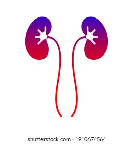 Kidneys icon isolated on white background. for medical sign. vector illustration