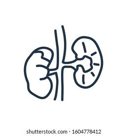 Kidneys Icon. Isolated Renal And Kidneys Icon Line Style. Premium Quality Vector Symbol Drawing Concept For Your Logo Web Mobile App UI Design.