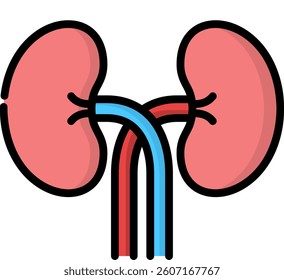 Kidneys Icon Lineal Color Vector Illustration