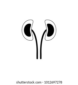 kidneys icon. Medecine Element for mobile concept and web apps. Thin line  icon for website design and development, app development. Premium icon on white background