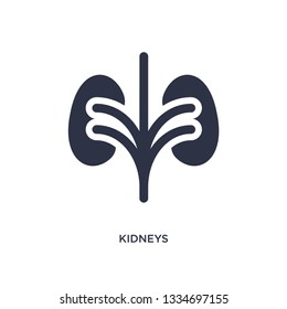 kidneys icon. Simple element illustration from medical concept. kidneys editable symbol design on white background. Can be use for web and mobile.