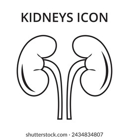 Kidneys icon. Stroke line Kidneys silhouette, vector image. Vector illustration 