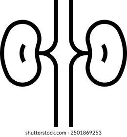kidneys icon. Thin linear style design isolated on white background