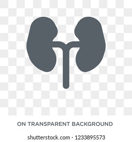 Kidneys icon. Trendy flat vector Kidneys icon on transparent background from Health and Medical collection. 