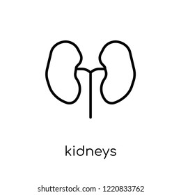 Kidneys icon. Trendy modern flat linear vector Kidneys icon on white background from thin line Health and Medical collection, editable outline stroke vector illustration