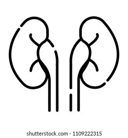 kidneys icon vector