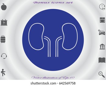 kidneys, icon, vector illustration eps10