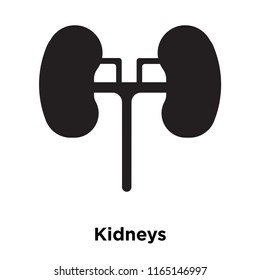 Kidneys icon vector isolated on white background, Kidneys transparent sign , medical health symbols