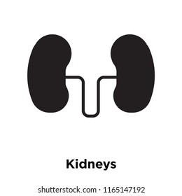 Kidneys icon vector isolated on white background, Kidneys transparent sign , medical health symbols