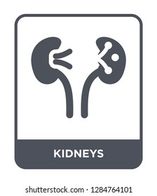kidneys icon vector on white background, kidneys trendy filled icons from Medical collection, kidneys vector illustration