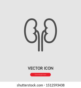 Kidneys icon vector. Kidneys symbol. Linear style sign for mobile concept and web design. Kidneys symbol illustration. Pixel vector graphics - Vector.