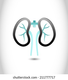 Kidneys icon, vector, symbol, medical