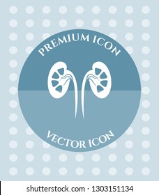 Kidneys Icon for Web. Application, Software & Graphic Design.